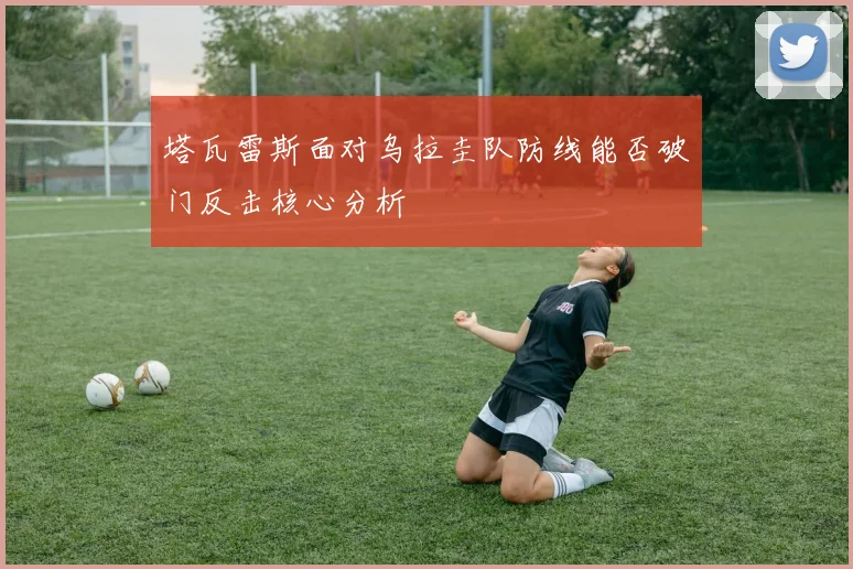 塔瓦雷斯面对乌拉圭队防线能否破门反击核心分析