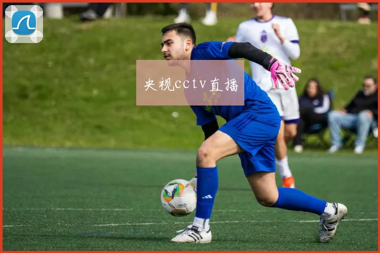 央视cctv直播