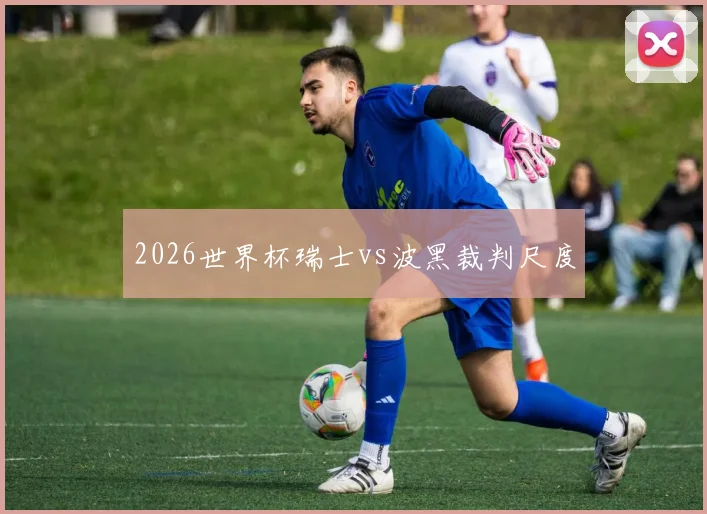 2026世界杯瑞士vs波黑裁判尺度