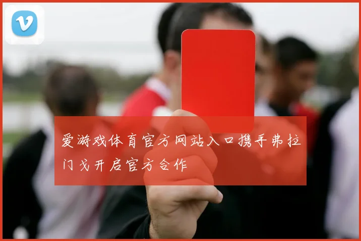 爱游戏体育官方网站入口携手弗拉门戈开启官方合作