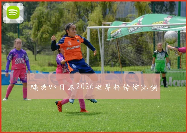 瑞典vs日本2026世界杯传控比例