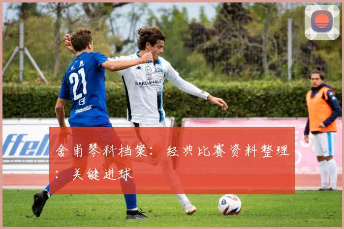 舍甫琴科档案:经典比赛资料整理:关键进球