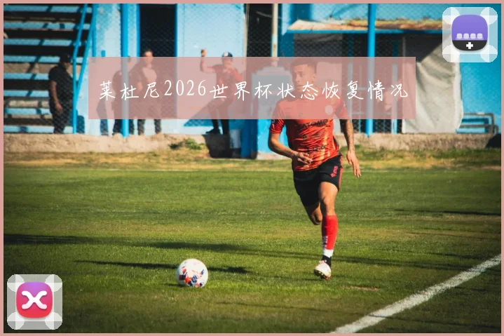莱杜尼2026世界杯状态恢复情况