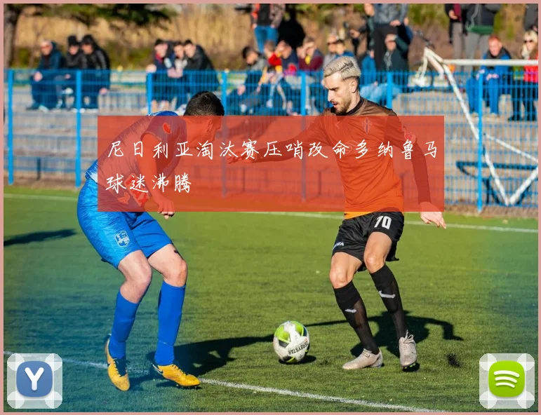 尼日利亚淘汰赛压哨改命多纳鲁马球迷沸腾