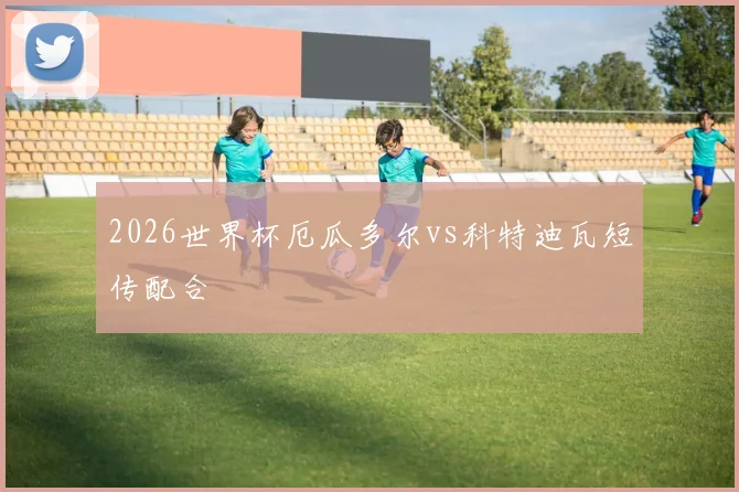 2026世界杯厄瓜多尔vs科特迪瓦短传配合